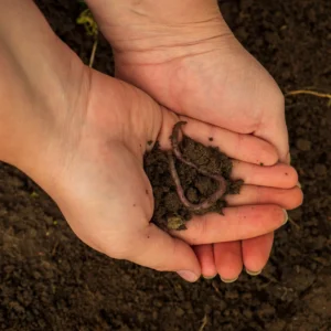 Humus de Lombriz Sólido 1kg