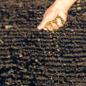 Estiércol Curado 25kg